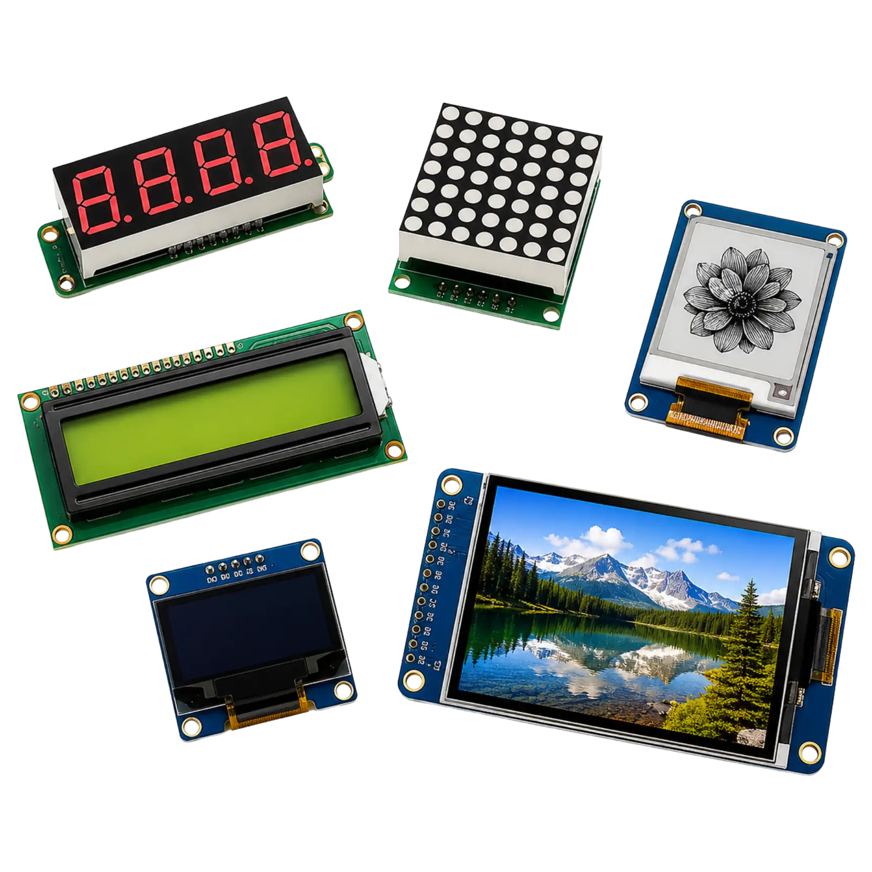 Display Module