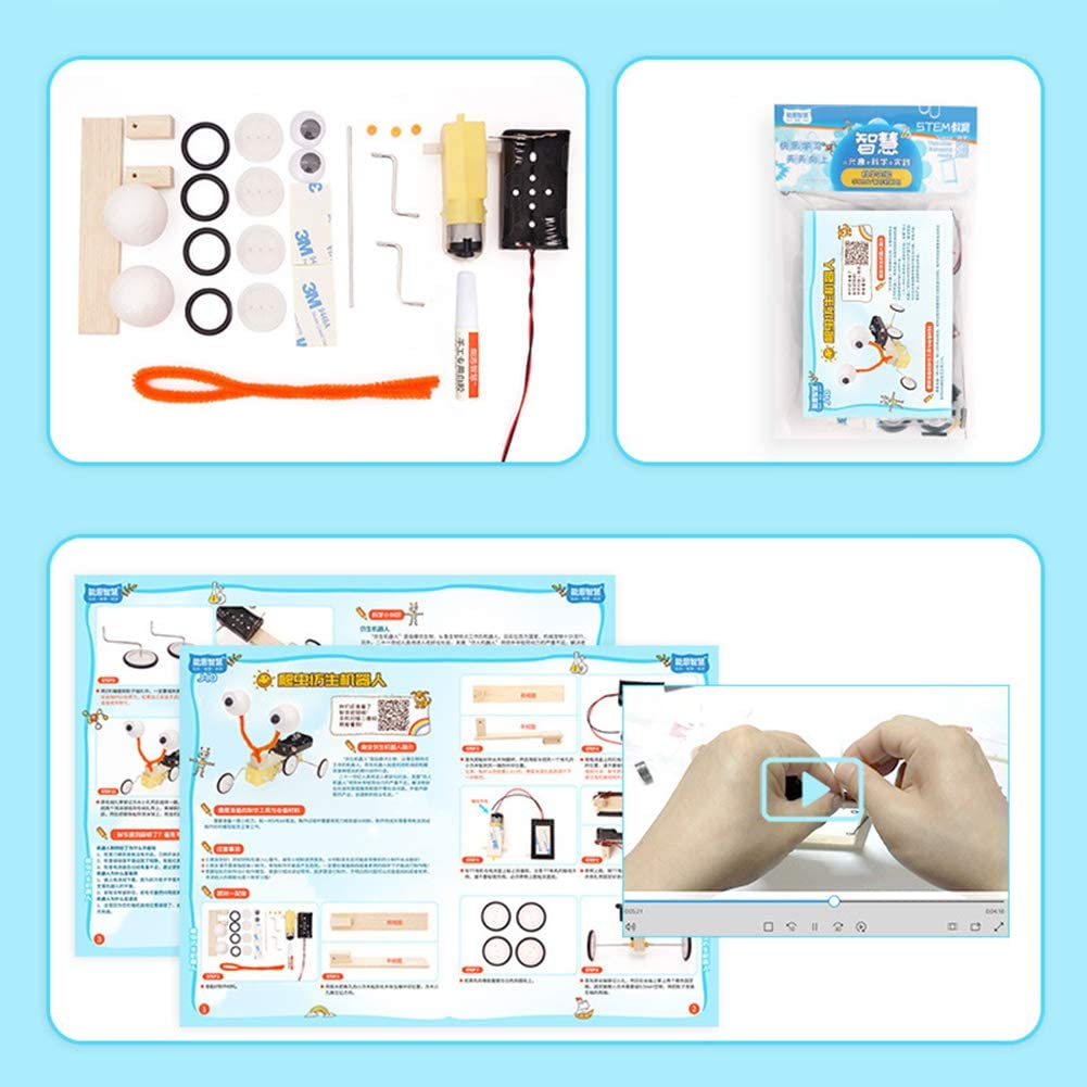 DIY Educational Electric Reptile Robot for Science Experiment