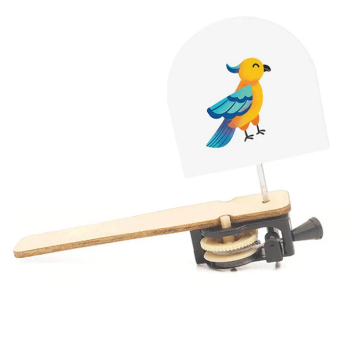 DIY Wooden Caged Bird Puzzle STEM Kit – Educational STEM Toy for Kids