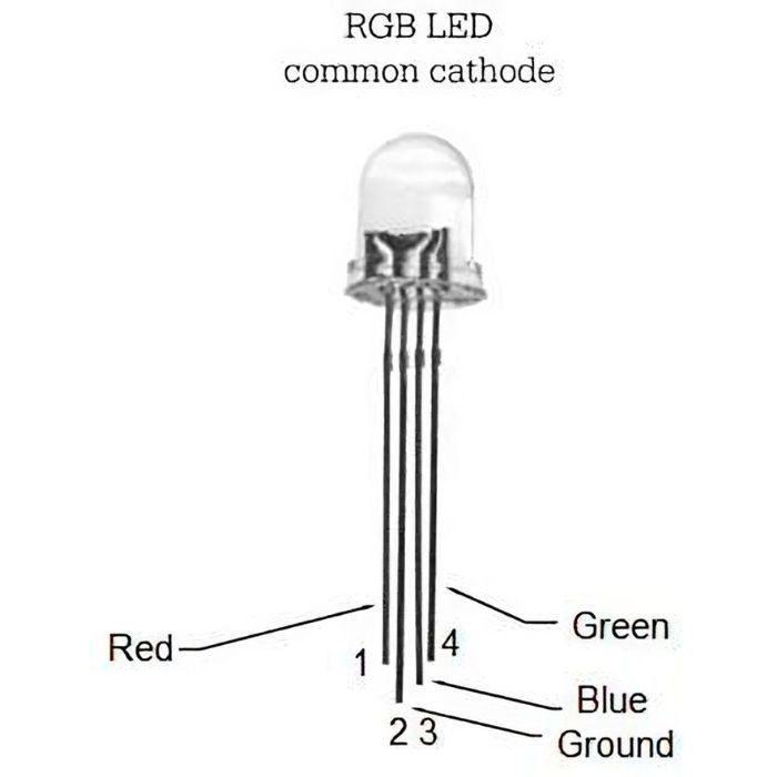 Buy RGB LED (Common Anode) 10mm Tri-Color 5V - Electronics Components India