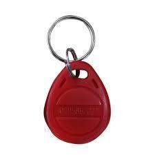 Iotcart SES-P-2877 125KHz RFID Keychain - Access Control Tag