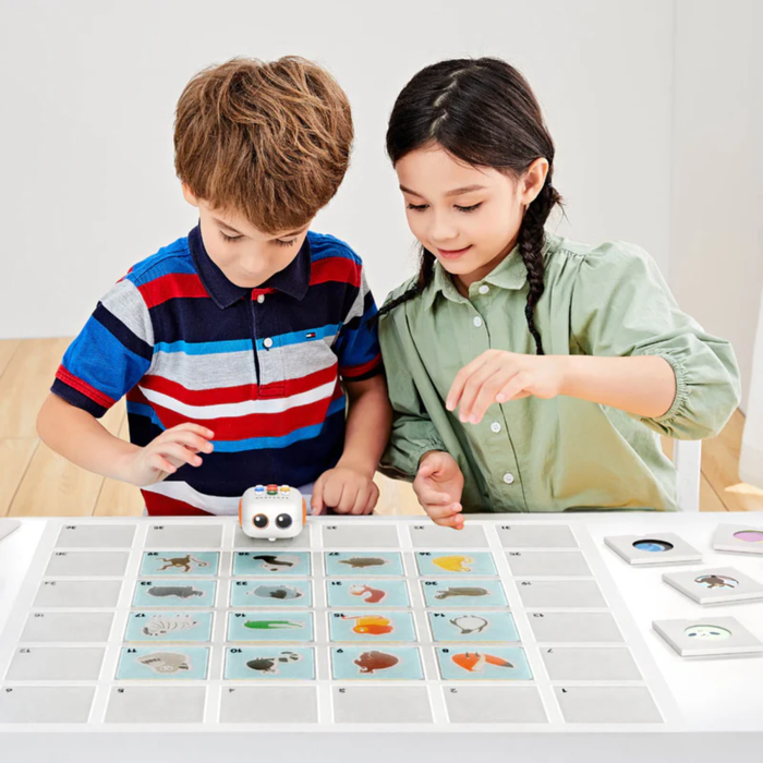 MatataStudio TaleMap for Tale-Bot Pro - Educational Robotics Accessory