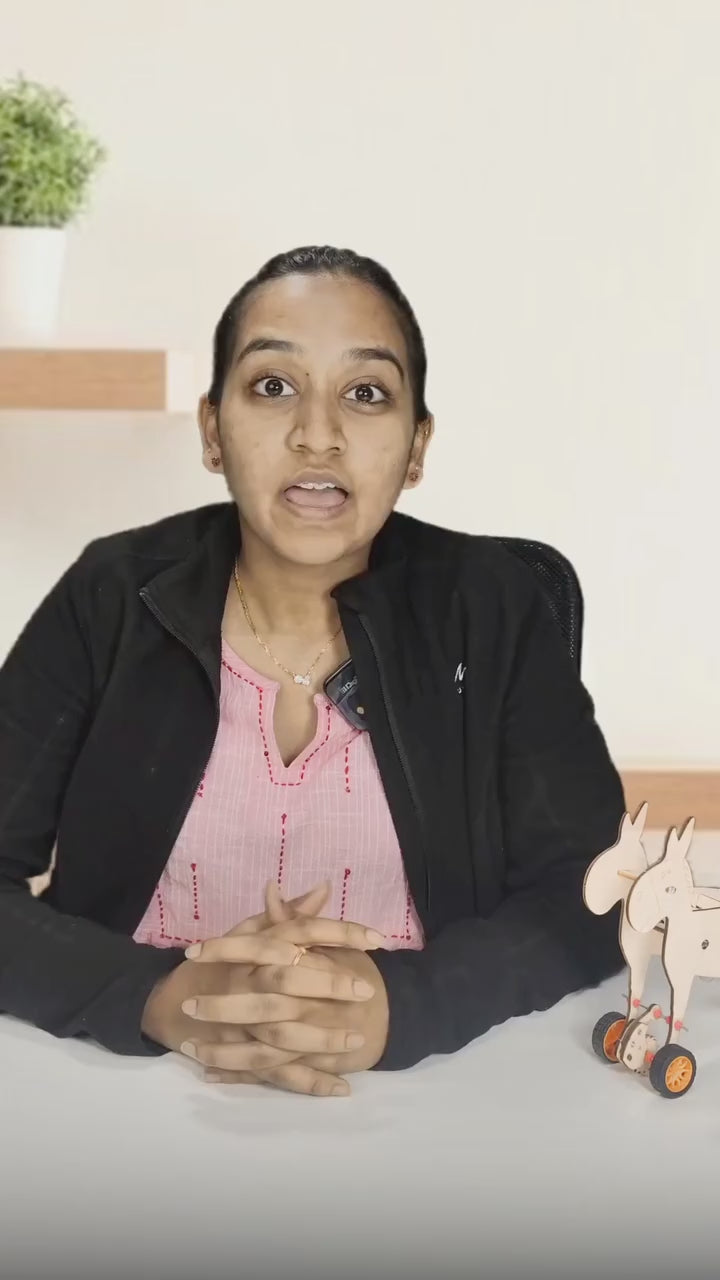 Pludo Pneumatic Donkey Educational Toy STEM Kit – Air Pressure Concept | Ages 8–11 | Grade 3 to 5