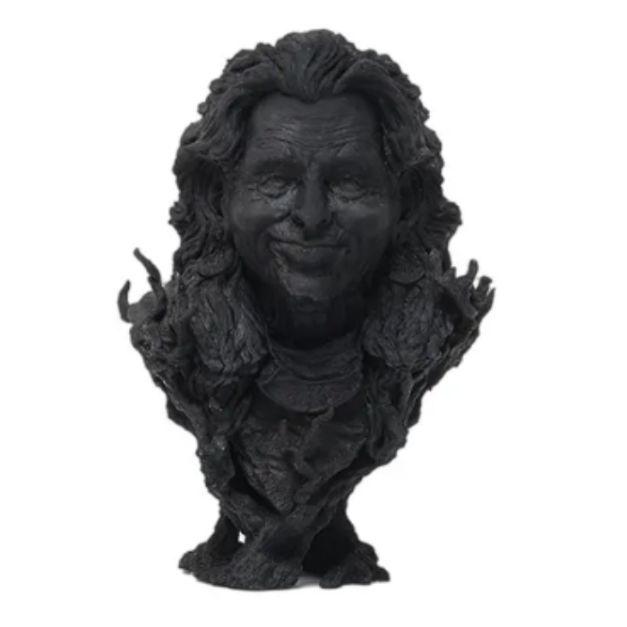 esun eResin-PLA Pro Bottle 1kg Black Color