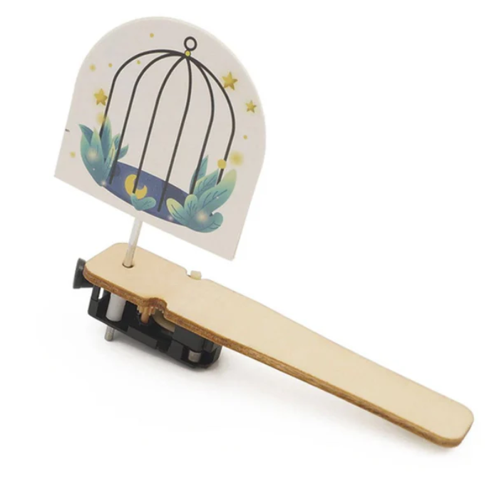 DIY Wooden Caged Bird Puzzle STEM Kit – Educational STEM Toy for Kids