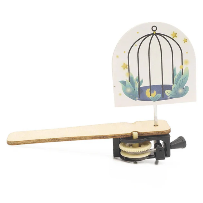 DIY Wooden Caged Bird Puzzle STEM Kit – Educational STEM Toy for Kids