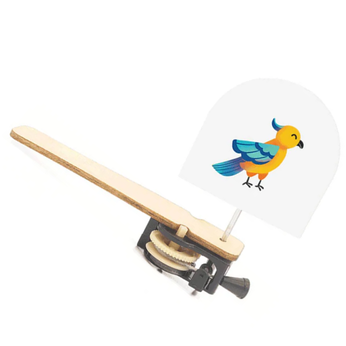 DIY Wooden Caged Bird Puzzle STEM Kit – Educational STEM Toy for Kids